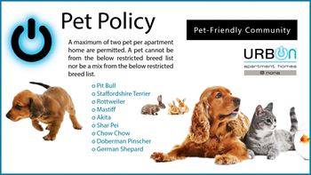 Pet friendly